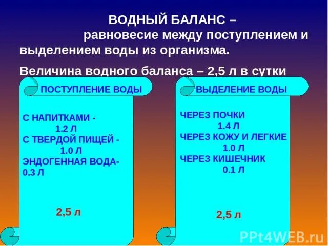 Нормальные показатели водного баланса. Как посчитать водный баланс. Водный баланс проценты. Водный баланс формула. Водный баланс проценты.