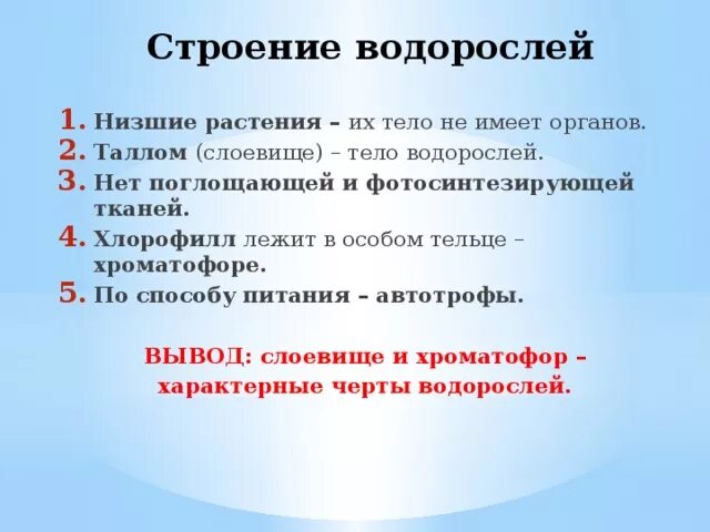 Тело водорослей не имеет органов и тканей. Тело водорослей имеет. Тело водоросли не имеет. Тело водорослей не имеет органов?. У водорослей тело имеет органы.