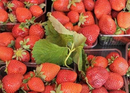 Продам клубнику свежую