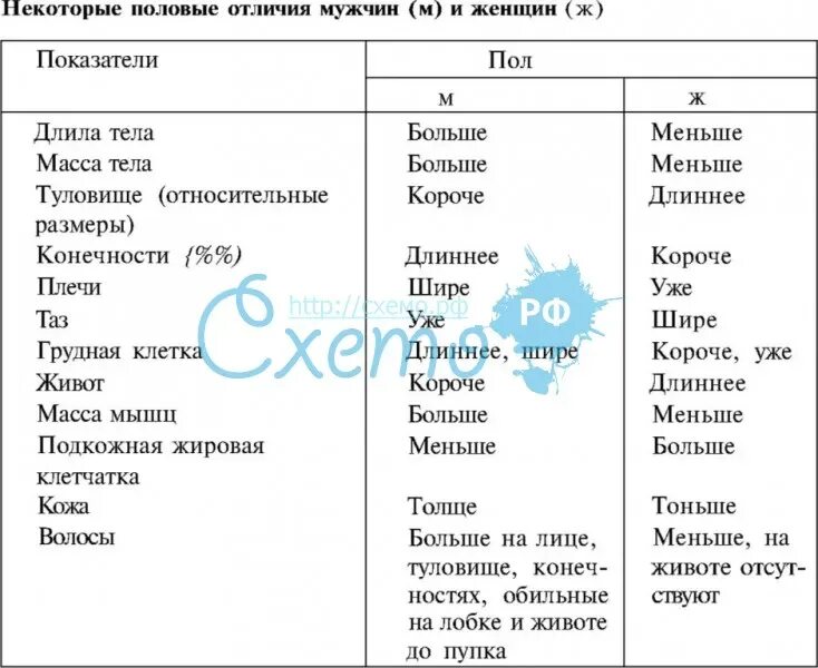 Половые различия мужчин. Различия мужчин и женщин таблица. Половые различия мужчин и женщин. Различия женского и мужского пола. Таблица половые различия мужчин и женщин.