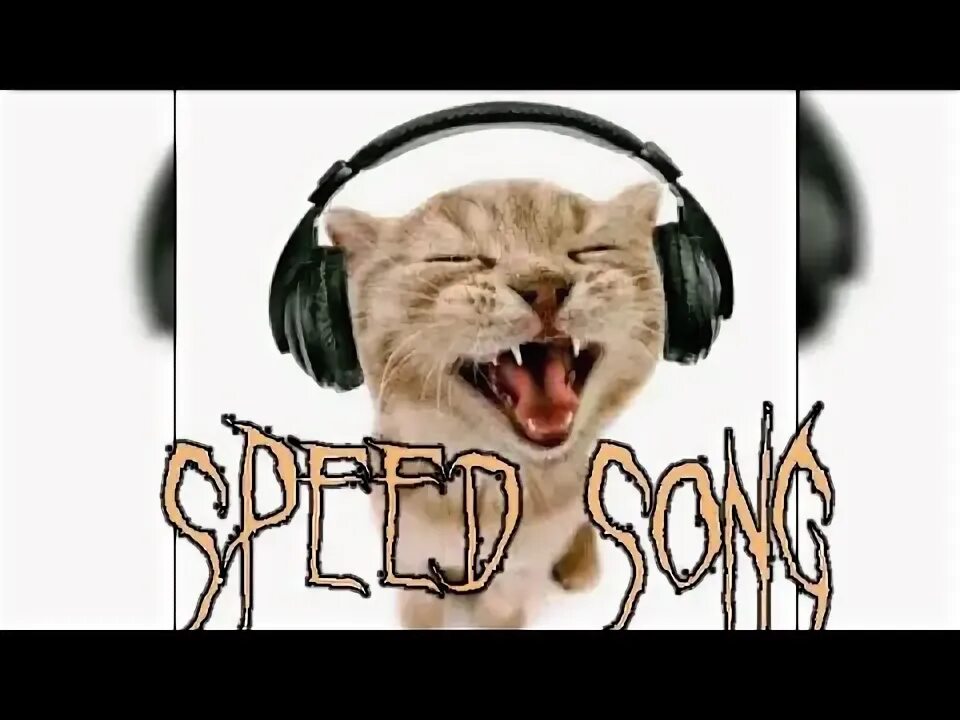 Котик speed up. Котик speed up