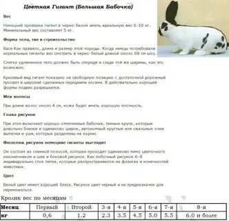 Вес кролика