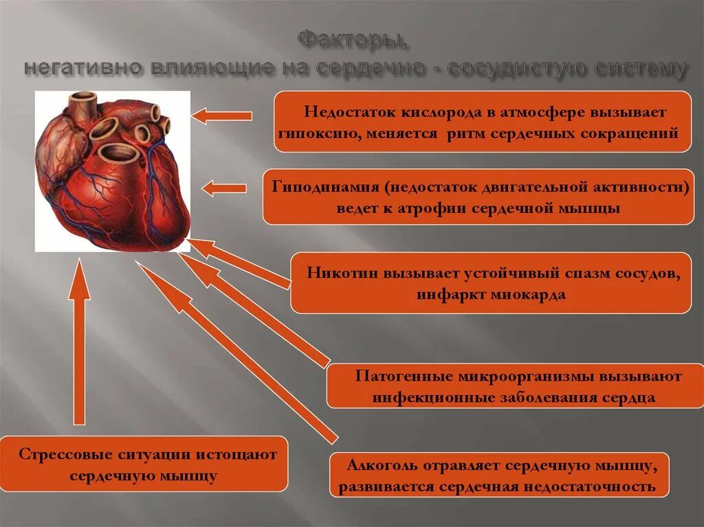 Какие факторы влияют на сердечно сосудистую систему. Факторы влияющие на сердечно сосудистую систему. факторы негативно влияющие на сердечно-сосудистую систему. влияние никотина на сердечно сосудистую систему. факторы отрицательно влияющие на сердечно сосудистую систему.
