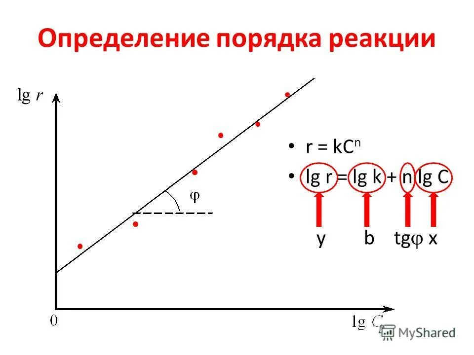Презентация на тему: "8. Химическая кинетика. Концентрационный фактор Учения. Иг