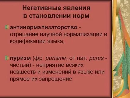 Русский литературный язык явление