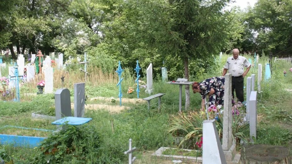 Погода андриановка ольховатский рн. Деревня андриановка. Дмитряшевка. Караяшник. Погода андриановка ольховатский рн.