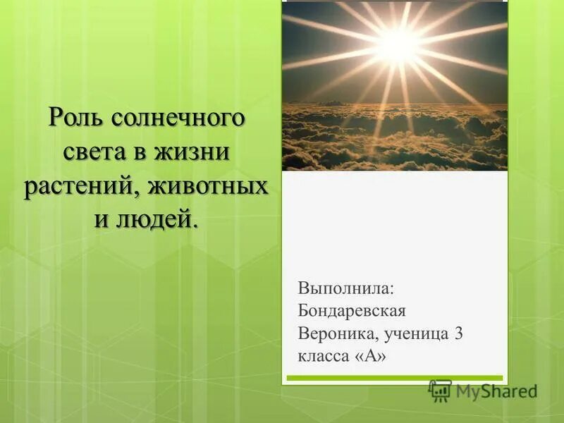 Роль светы в жизни растений. Роль света в жизни растений. Роль солнечного света в жизни растений. Роль света в жизни животных. Роль света в жизни.