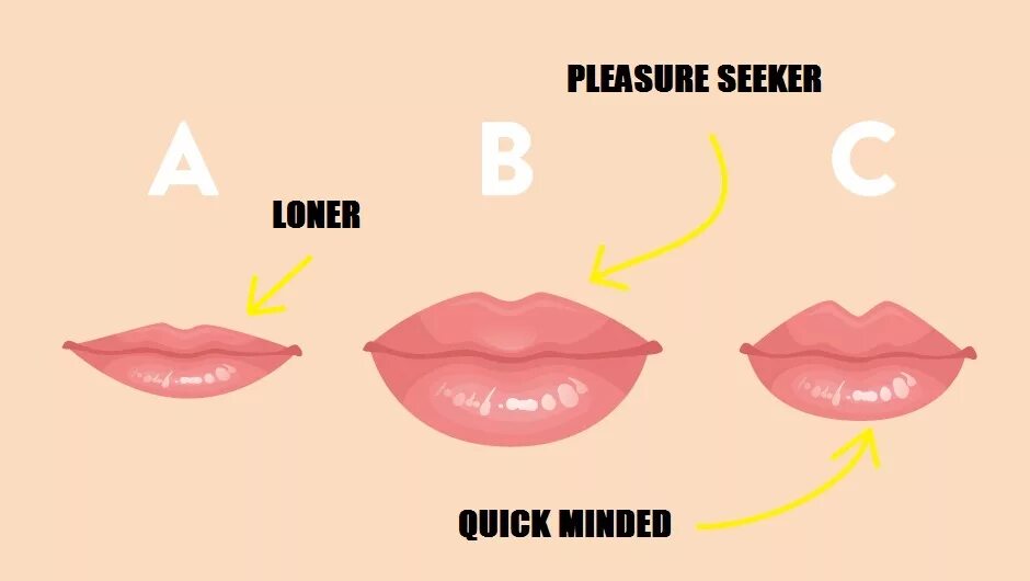 Сколько губ у женщин. Сколько губ у женщин 6. The Shape of your Lips. Bow Shaped Lips. Как отличить губы