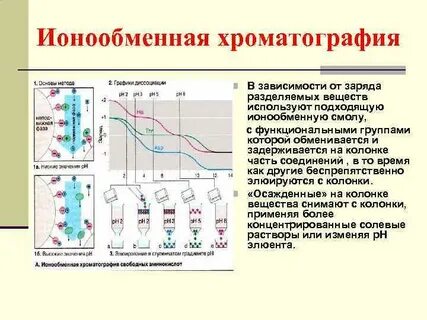 Основы хроматографического метода