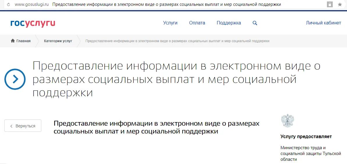 Код социальной выплаты 31 Rus что это. 31 Rus социальная выплата расшифровка. Зачисление социальной выплаты. Коды социальных выплат Сбербанк 31 Rus.