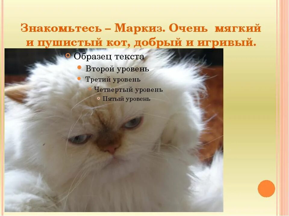 Пушистый кот предложение 1 класс. Пушистый мягкий котик. пушистый кот предложение. добрый и пушистый. мягкая и пушистая женщина.