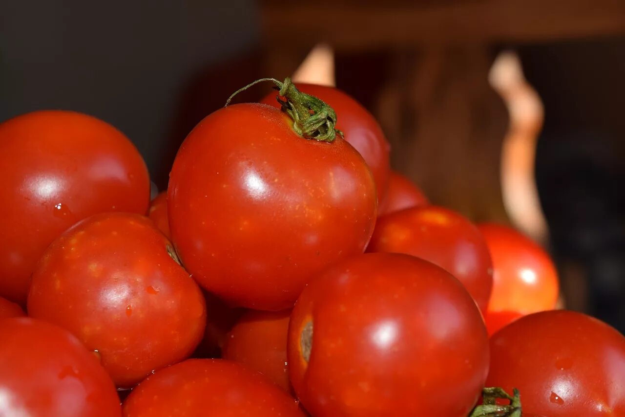 Помидоры. Красный помидор. Урожай томатов. Томатные овощи. Tomato red