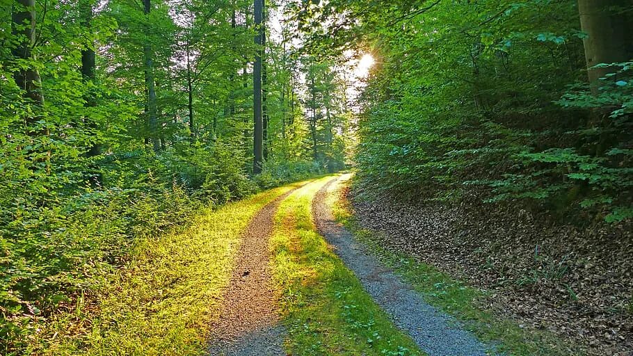 Path