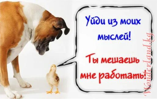 Ушел работаем вместе