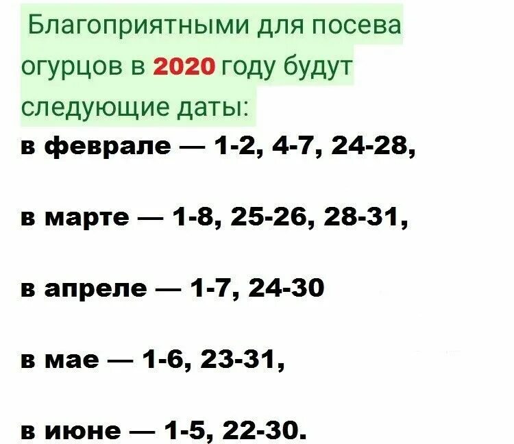 Огурцы благоприятные дни для посадки. Благоприятные дни для посадки огурцов в июне. Благоприятные дни для посадки в мае огурцов. Благоприятный день в июне для посадки рассады огурцов.