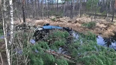 Улетел в болото