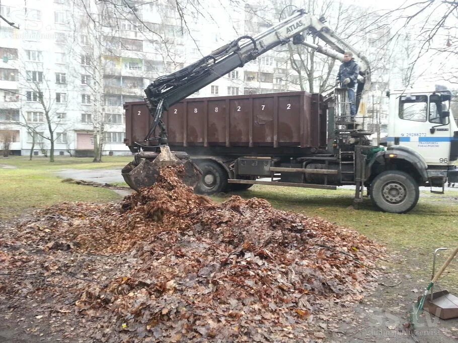 Вывезти листву