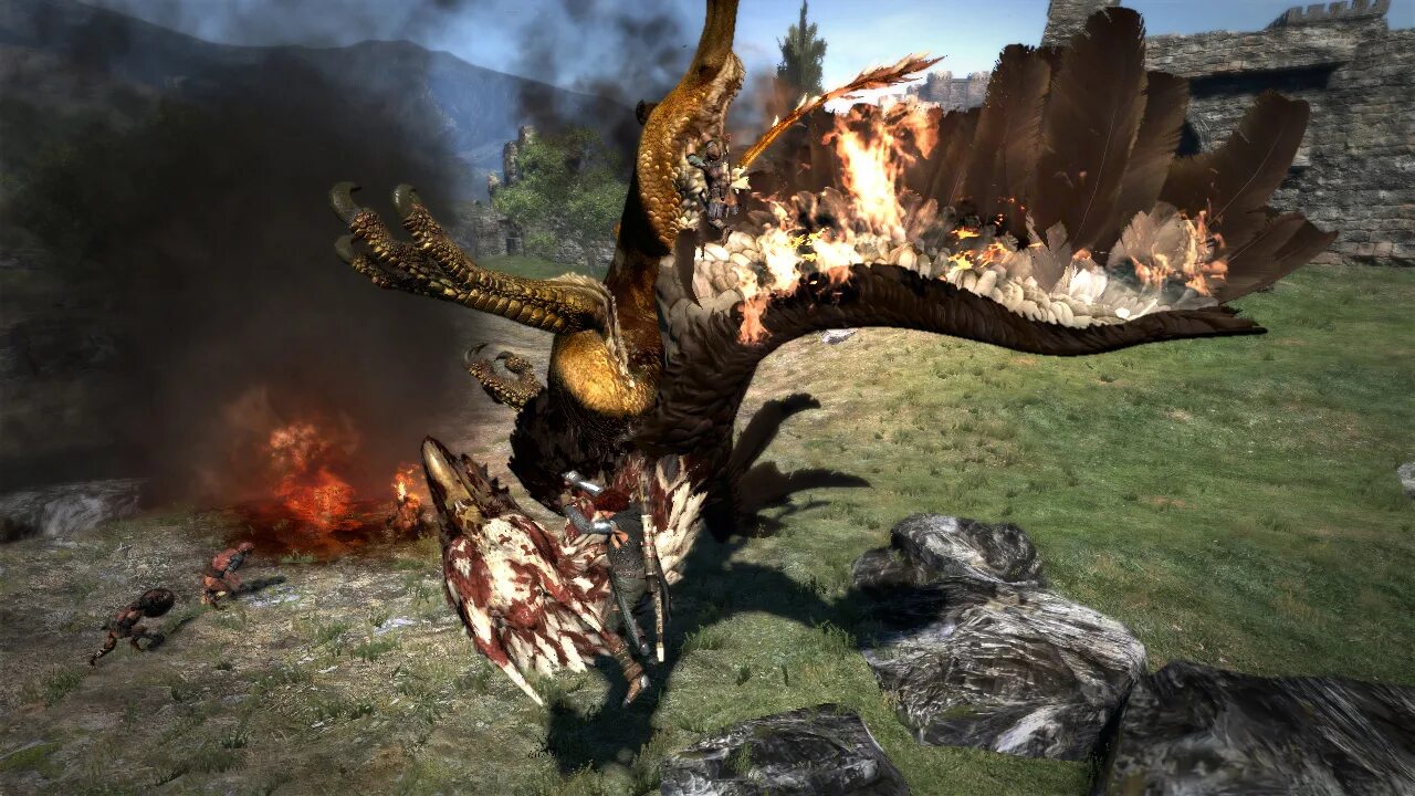 Dragons dogma кольца. Dragon&#039;s dogma 2 грифон. dragon`s dogma (ps3). грифон догма дракона. драгонс догма 2 сфинкс.