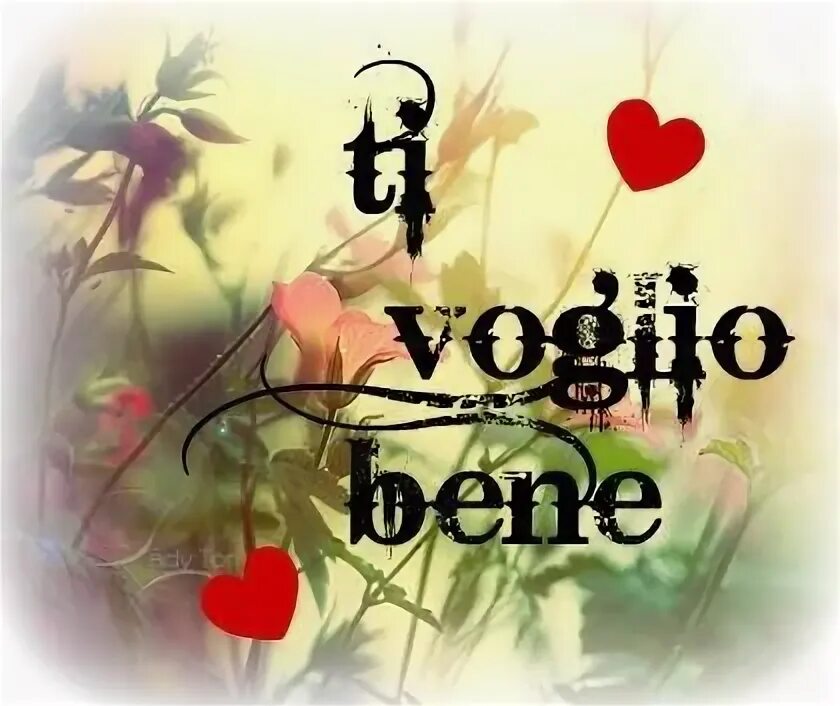 Ti voglio bene картинки. Voglio bene сумки. Ti voglio bene на белом фоне. Ti voglio bene опера. Bene e