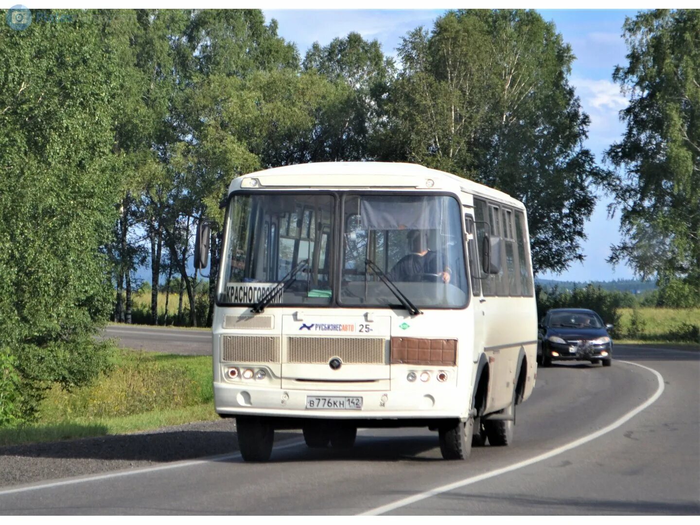 Паз 32054 orange нижний новгород. Фольксваген 142. Паз 32054 нижний новгород. Автобус 142. Паз 3205 или кавз.