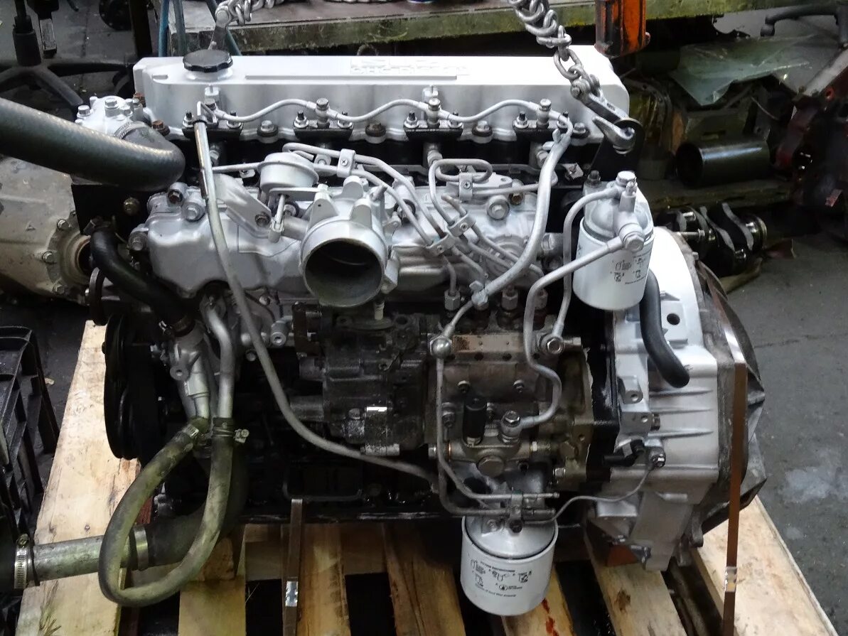 Двигатель Исузу Эльф 4hf1. Модель двигателя Isuzu 4lb1. Исудзу Эльф двигатель 4hf1. Двигатель Исузу 3.1 дизель.