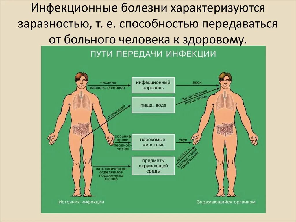 Какие заболевания заразные. Механизмы передачи инфекционных заболеваний схема. Инфекционные болезни пути заражения. Способы заражения инфекционными болезнями. Пути передачи инфекции от больного человека к здоровому.