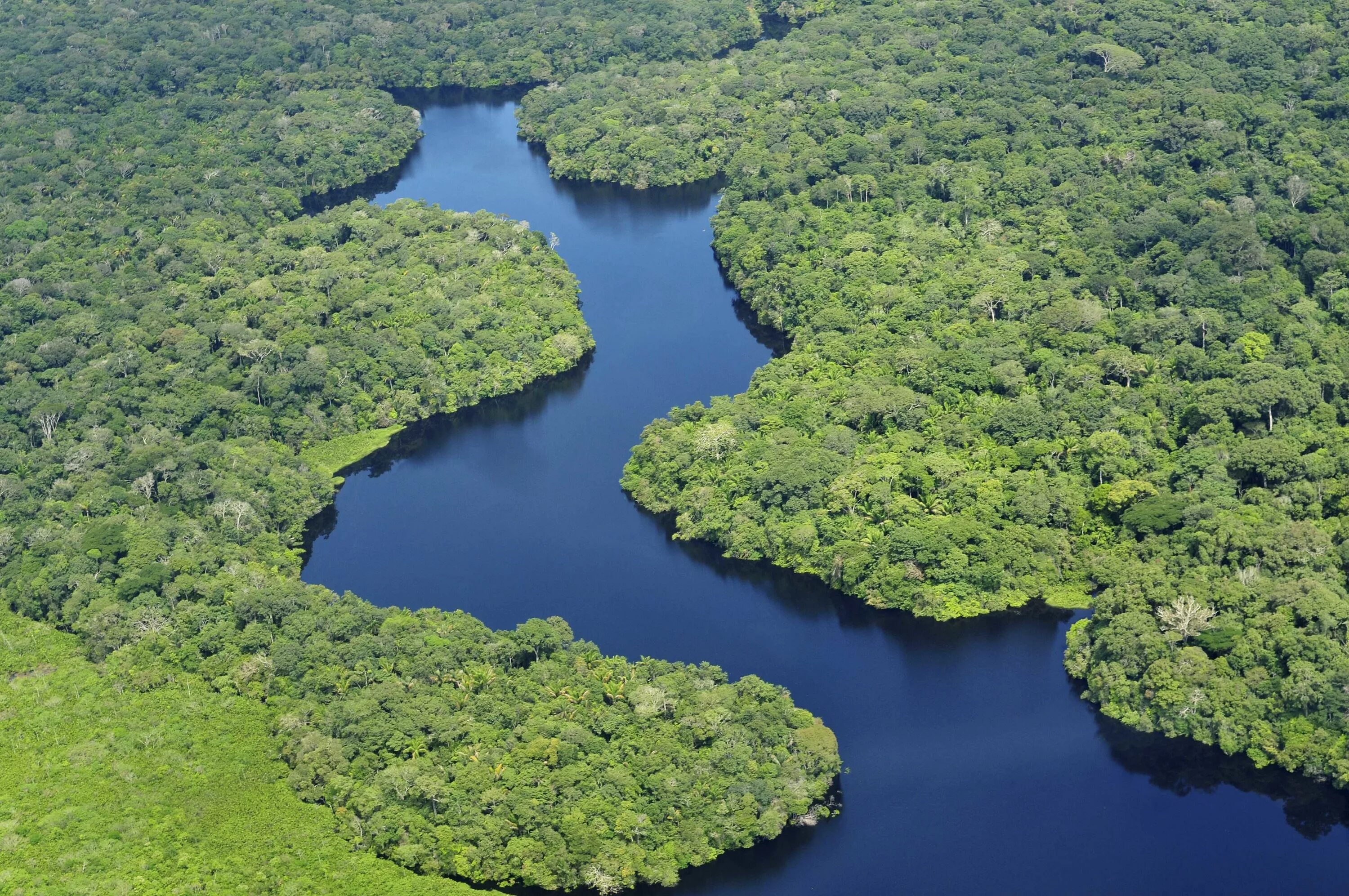 Большой реки топ. Сельва амазонки Бразилия. Бразилия тропические леса Сельва. Сельва Южной Америки.