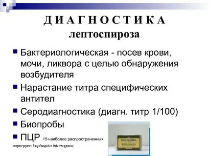 Лептоспироз диагностика