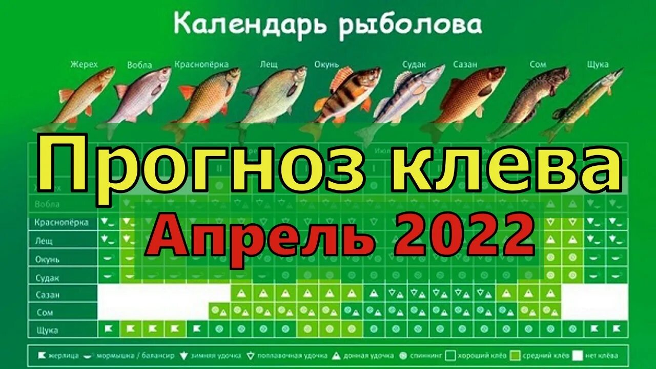 Прогноз клева 2024г