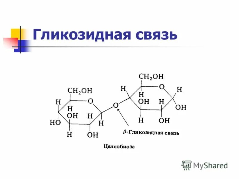 1 1 гликозидной связью