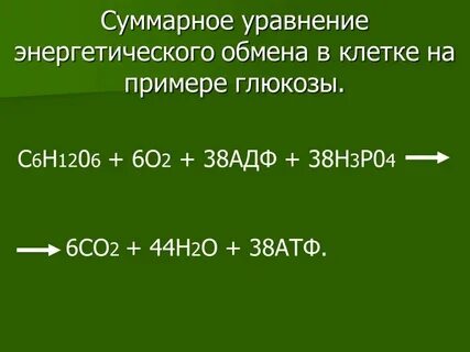 Б c o2