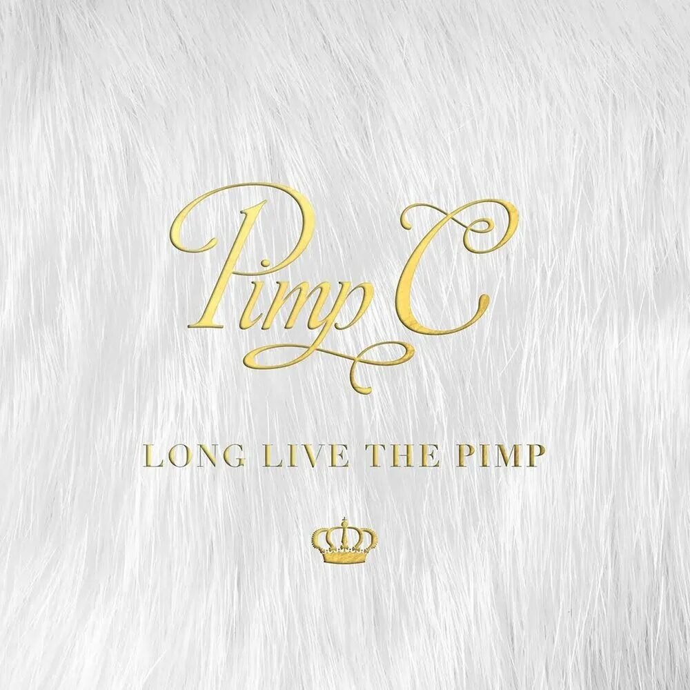 Pimp lyrics. The pimp. Evil pimp. Pimps tea. Evil pimp дискография.