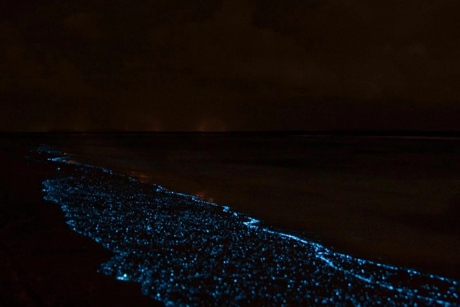 Остров Ваадху Мальдивы. Пляж Ваадху Мальдивы. Остров Ваадху Мальдивы светящийся пляж. Море звезд на острове Ваадху Мальдивы. Фитопланктон б