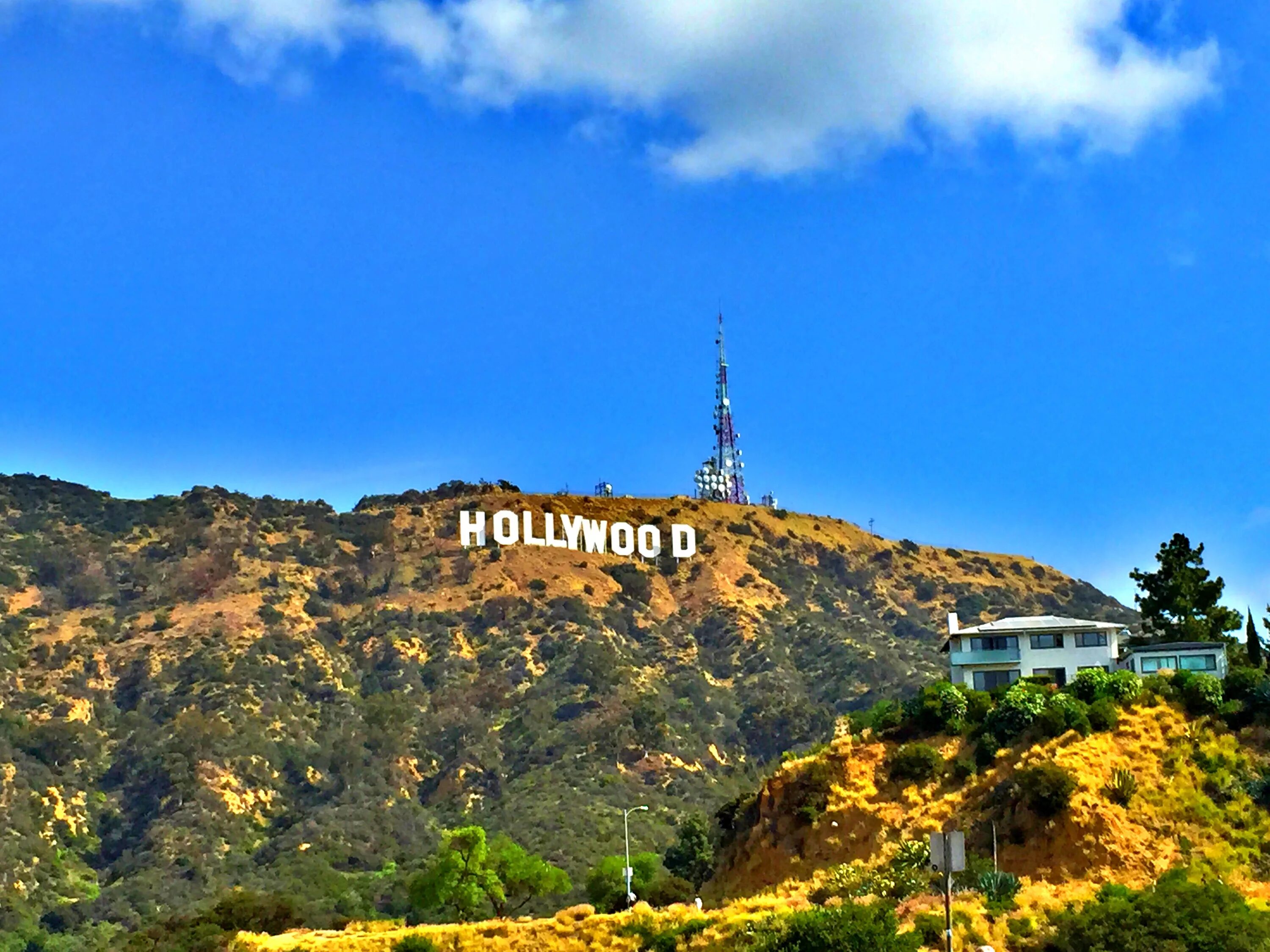 Галивуд. Лос-Анджелес Калифорния Голливуд. Лос Анджелес голливудские холмы. Штат Калифорния Голливуд. Калифорния гора Голливуд.