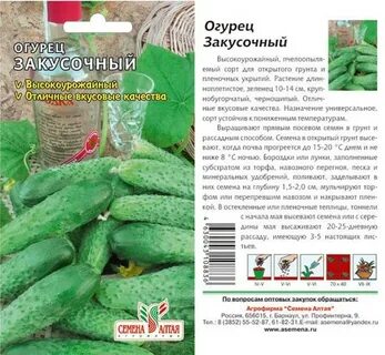 Семена алтая для теплицы