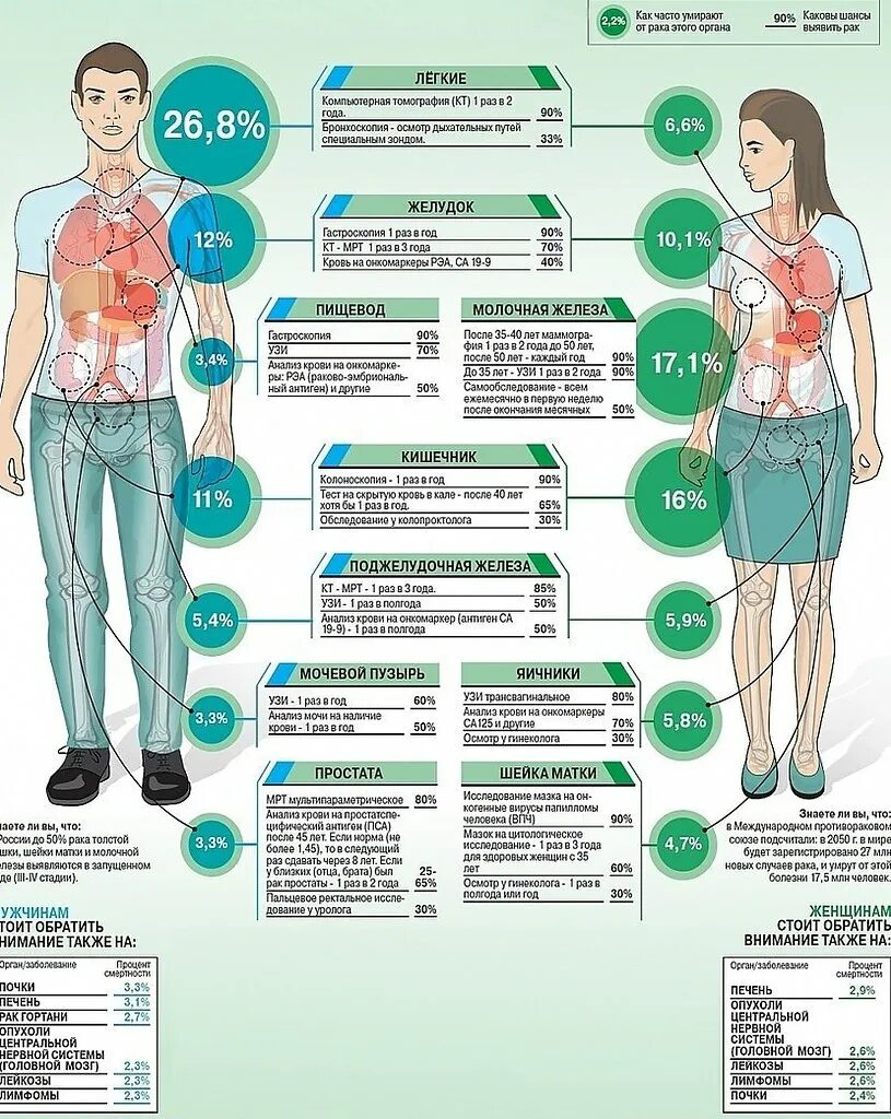 Также внимание на следующие. Какие обследования нужно пройти. Инфографика по онкологии. Инфографика заболевания. Инфографика здоровье.