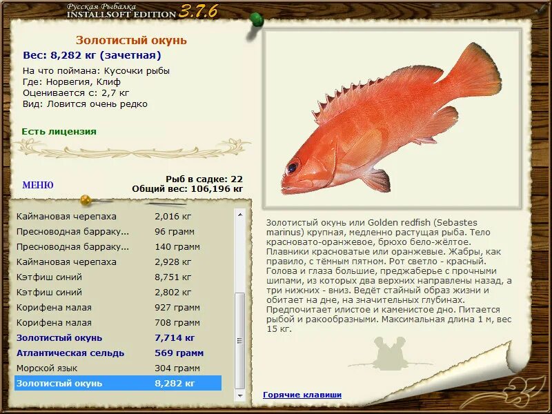 Стихи про рыб для детей. Окунь вес. Рр3 волхов окунь. Окунь рифма. Рыба каменный окунь.