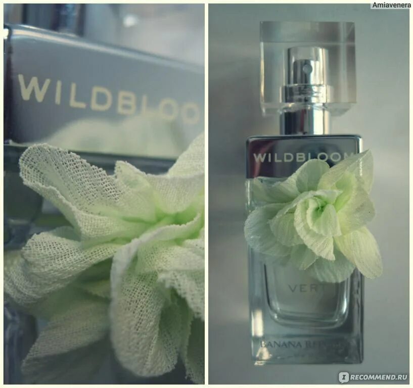 Wildbloom vert banana. Banana republic wildbloom vert. banana republic vert духи. банана репаблик духи женские wildbloom. банана репаблик верт духи женские.