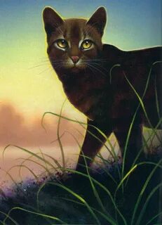 Warrior cats clans