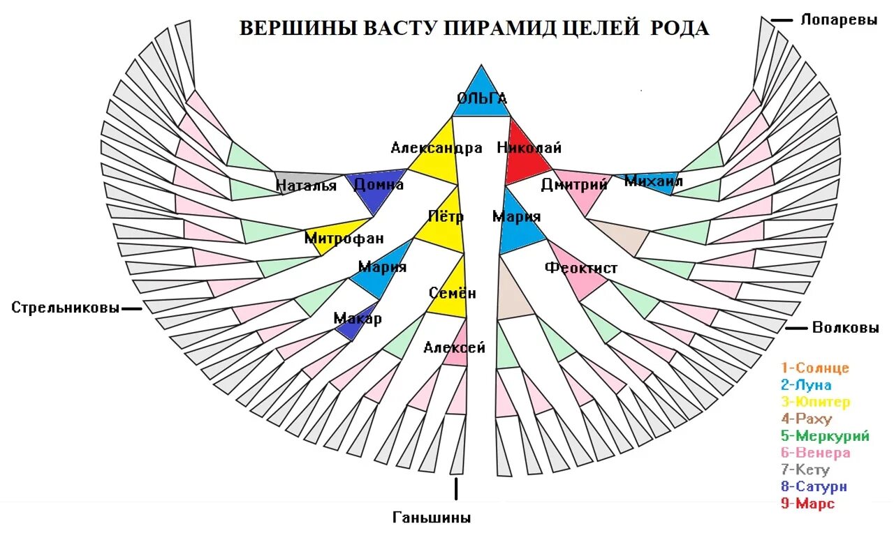 Схема рода человека. Птица рода схема. Крылья рода схема. Родословная в виде птицы. Семь поколений рода.