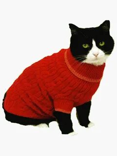 Кофта для кота