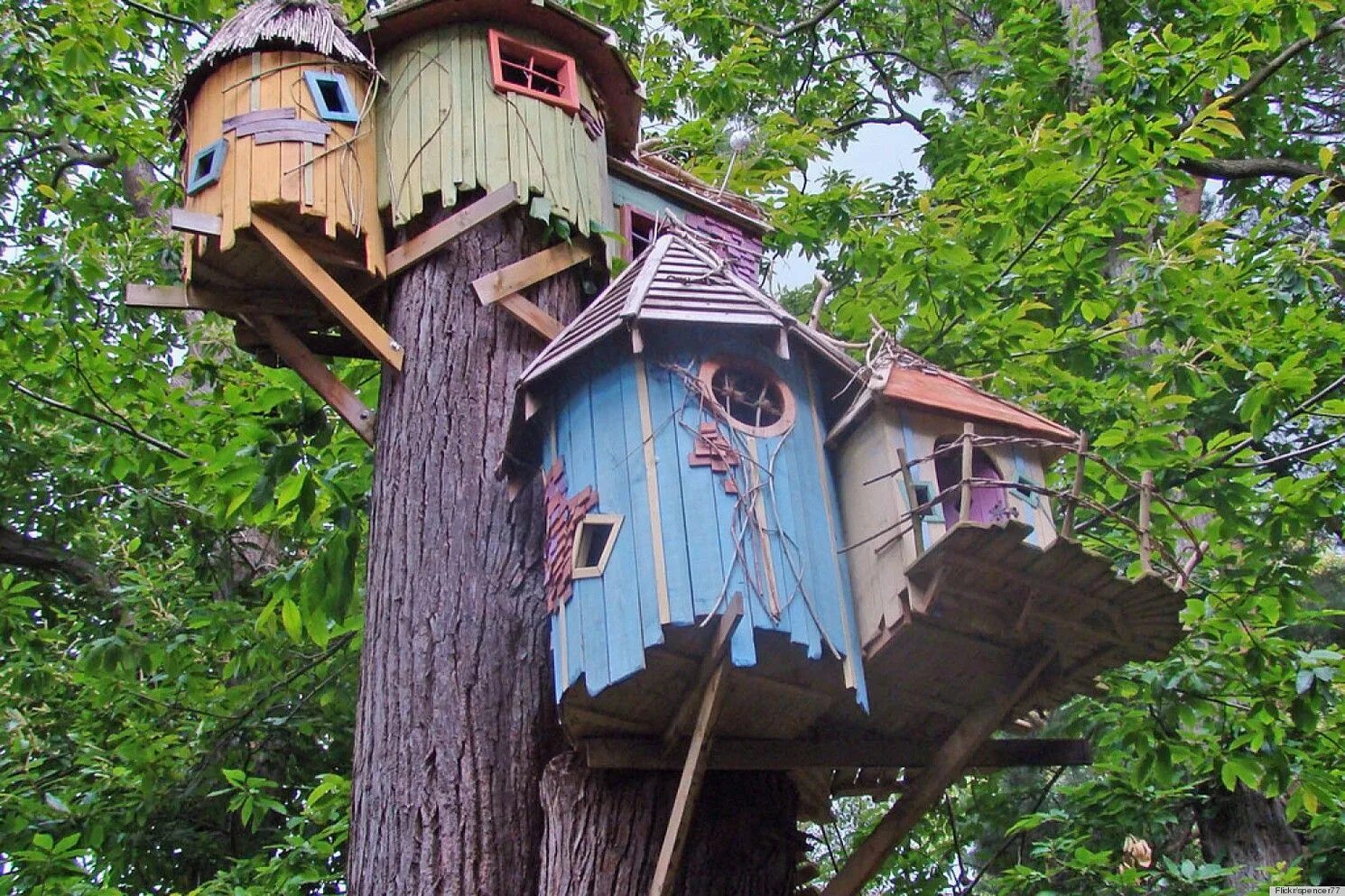 It s a tree house