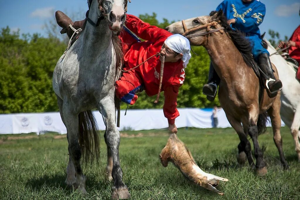 Теңге алу. Казахские игры национальные кокпар. Казахская Национальная игра көкпар. Казахская традиция кокпар. Кокпар в Казахстане.