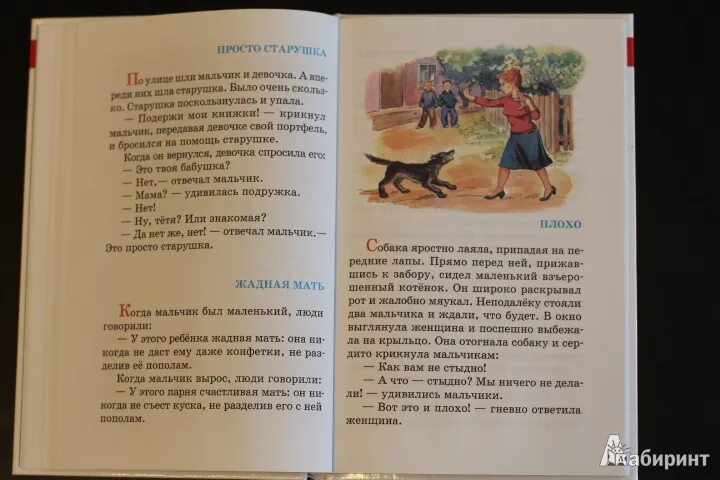 Осеева книги для детей. Рассказ осеевой сороки. Осеева в. Рассказ осеевой сороки. Три сороки тараторки тараторили на горке скороговорки.