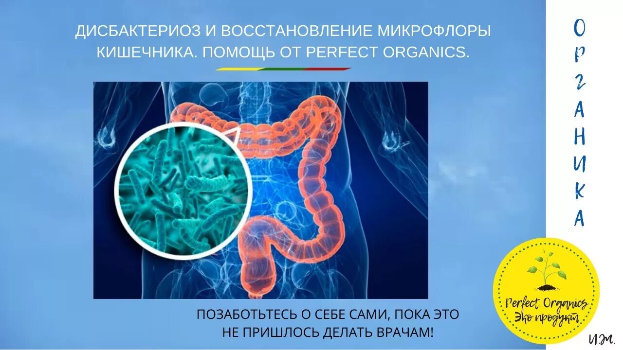 Кишечник форум врачей. Для восстановления кишечной микрофлоры. Восстановление микробиоты кишечника. Микрофлора кишечника. Микрофлора кишечника восстанавливается сама.