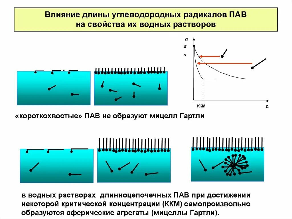 Свойства поверхностно активных веществ. Общая характеристика поверхностно-активных веществ.. Свойства пав. Поверхностно активные свойства. Водный раствор пав