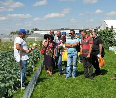 Погода в поселке областной сельскохозяйственной опытной станции