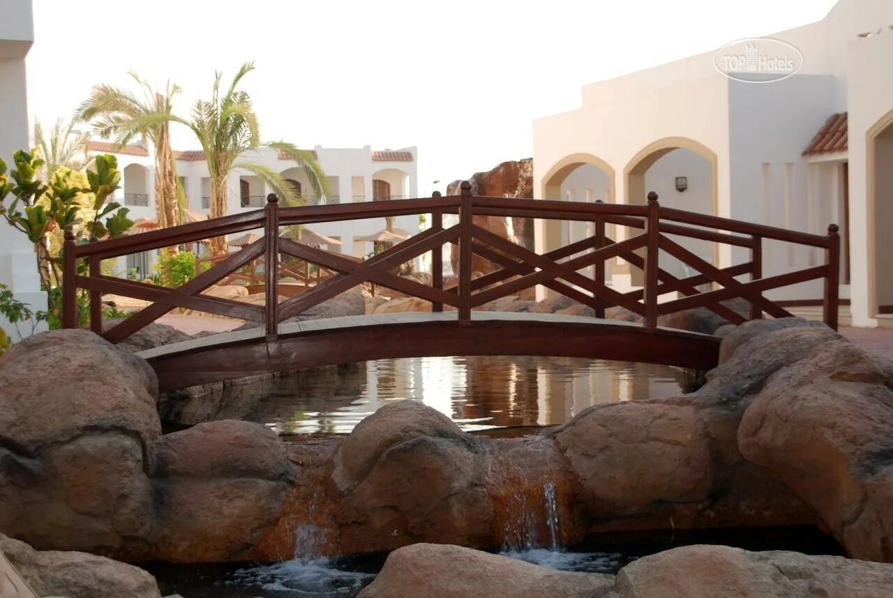 Coral hills 4. Coral Hills Sharm el Sheikh 4 Египет Шарм-Эль-Шейх. Coral Hills Sharm el Sheikh 3. Coral Hills Resort 4*. Coral Hills Resort 4* Хадаба, Шарм-Эль-Шейх.