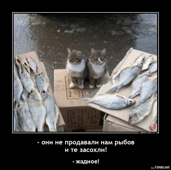 У него только чего нет