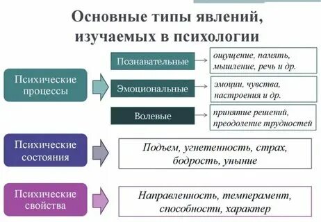 Социально психологический феномен возникающий